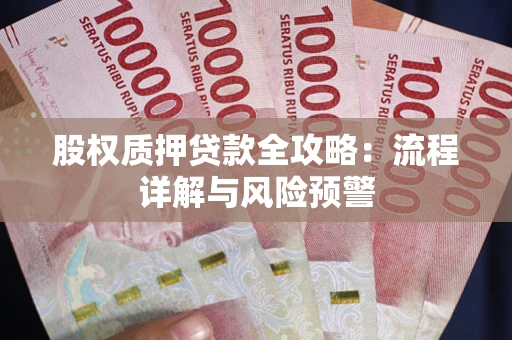 武汉股权质押贷款全攻略：流程详解与风险预警