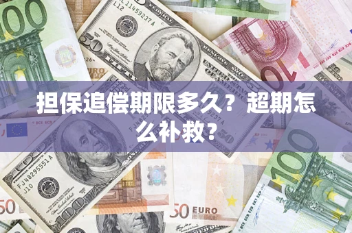 武汉担保追偿期限多久？超期怎么补救？