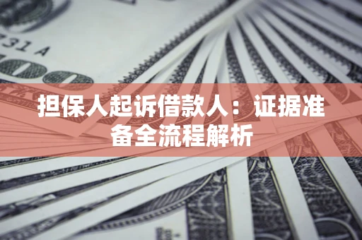 武汉担保人起诉借款人：证据准备全流程解析