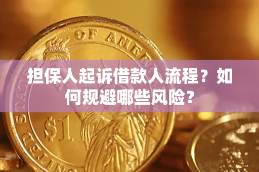 武汉担保人起诉借款人流程？如何规避哪些风险？