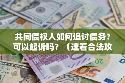 武汉共同债权人如何追讨债务？可以起诉吗？（速看合法攻略）