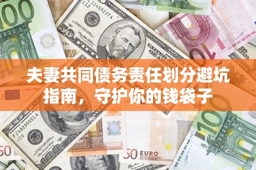 武汉夫妻共同债务责任划分避坑指南，守护你的钱袋子