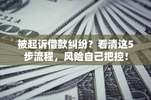 武汉被起诉借款纠纷？看清这5步流程，风险自己把控！