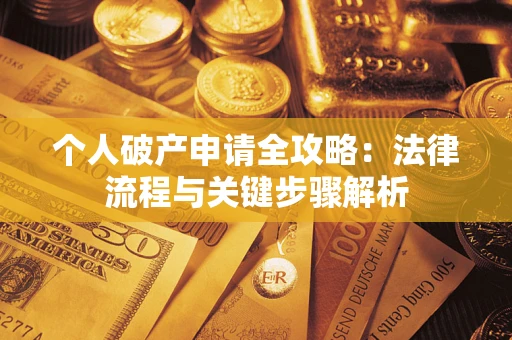 武汉个人破产申请全攻略：法律流程与关键步骤解析