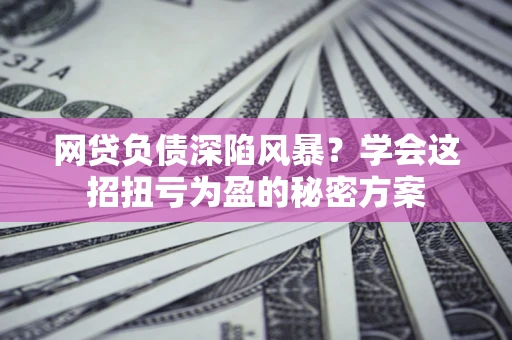 武汉网贷负债深陷风暴？学会这招扭亏为盈的秘密方案